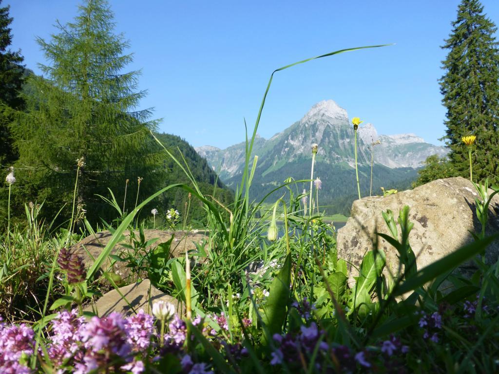 Berghotel Obersee Näfels Exterior foto